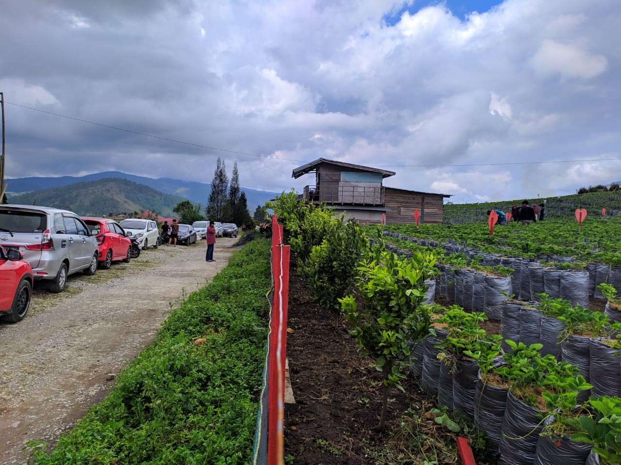 agrowisdkem4